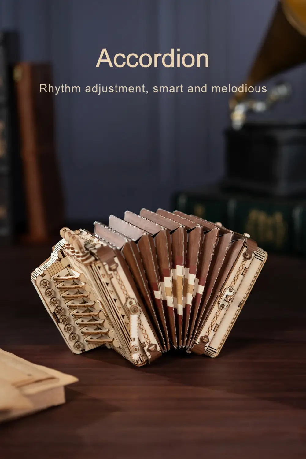 Robotime 3D Musical Instrument Wooden Puzzle